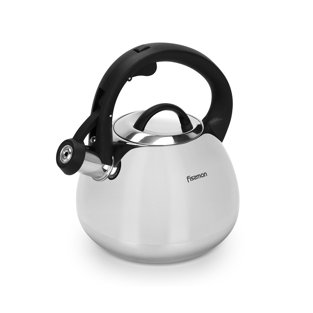Чайник для кип'ятіння води Fissman AQUARIUS 2,5 л нержавіюча сталь  (5973)