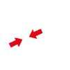 VEGA