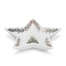 Блюдо Fissman CHRISTMAS у формі зірки 19х15,5 см порцеляна (14016)