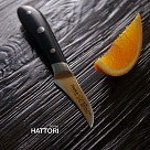 Ніж для чищення овочів Fissman HATTORI 6 см (2529)