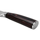 Ніж Fissman гастрономічний RAGNITZ 20 см X50CrMoV15 сталь (2825)