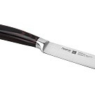 Ніж Fissman гастрономічний RAGNITZ 20 см X50CrMoV15 сталь (2825)