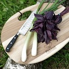 Разделочная доска Fissman 31x40x1,5 см акация (8043)