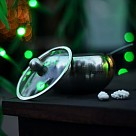 Цукорниця Fissman 560 мл зі скляною кришкою і ложкою нержавіюча сталь (5873)