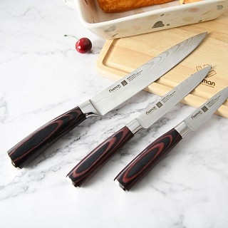 Ніж Fissman гастрономічний RAGNITZ 20 см X50CrMoV15 сталь (2825)