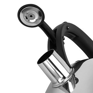 Чайник для кипячения воды Fissman AQUARIUS 2,5л нержавеющая сталь (5973)