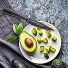 Универсальный нож Fissman SHINAI graphite 11 см (2489)