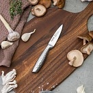 Овочевий ніж Fissman FIRMIN 9 см X30Cr13 сталь (12066)