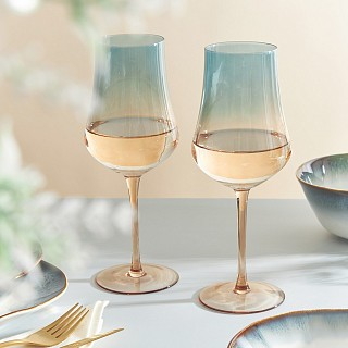 Набір з 2-х бокалів Fissman для білого вина 480 мл скло (13685)