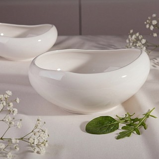 Миска Fissman BON APPETIT 23x20,5x10,3 см порцеляна (13026)