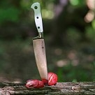 Поварской нож Fissman MONOGAMI 20 см (2492)