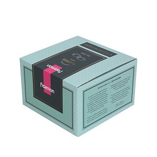 Набор Fissman из 2-х кружек FLOREE 240 мл с блюдцем фарфора (3669)