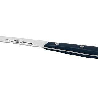 Нож Fissman универсальный MAINZ 13 см X30Cr13 сталь (2741) Нож Fissman универсальный MAINZ 13 см X30Cr13 сталь (2741)