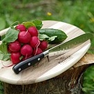 Разделочная доска Fissman 31x40x1,5 см акация (8043)