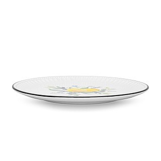 Набор из 2-х тарелок Fissman 21 см PROVENCE фарфор (13620)