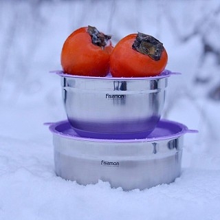 Миска Fissman 24x13,5 см 4500 мл с крышкой (5116)