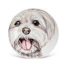 Тарілка Fissman DOGS 10 см порцеляна (16075)