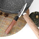 Овощной нож Fissman ITTOSAI 9 см (2578)