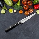 Овощной нож Fissman KITAKAMI 9,5 см (2521)