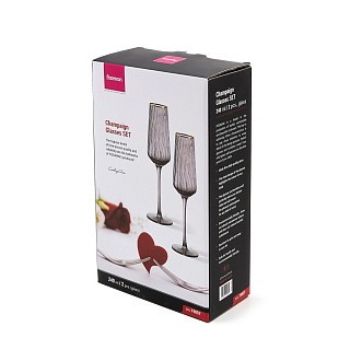 Набор из 2-х бокалов Fissman для шампанского 240 мл (19057)